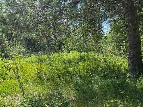 36719 State Highway 65 Nashwauk MN 55769