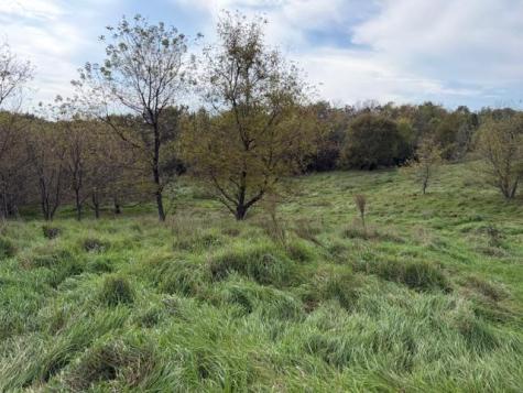 Lot 6 220th Avenue Star Prairie WI 54017