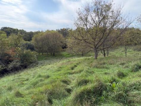 Lot 6 220th Avenue Star Prairie WI 54017