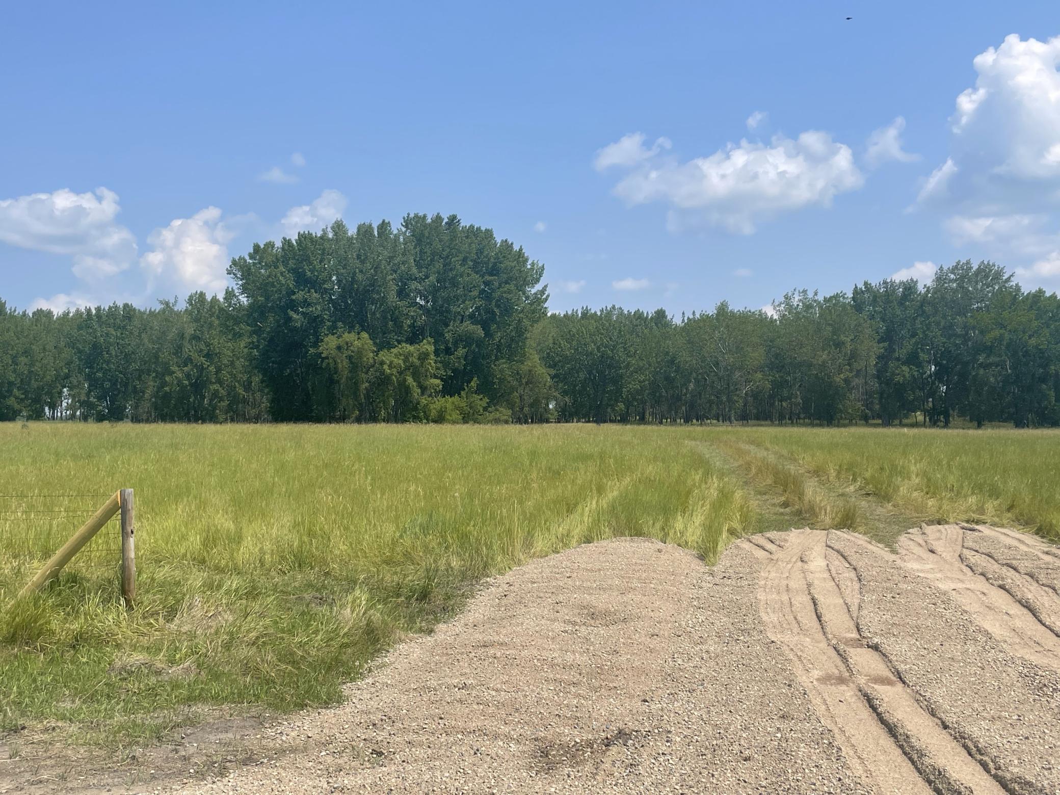 10324 State Highway 9 S Barnesville MN 56514