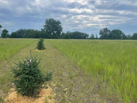 10324 State Highway 9 S Barnesville MN 56514