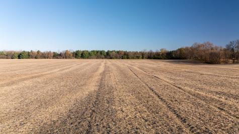 48XXX Anchor Avenue Stanchfield MN 55080