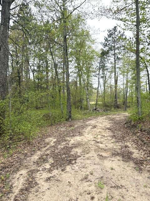 22132 Buckhorn Trail Merrifield MN 56465