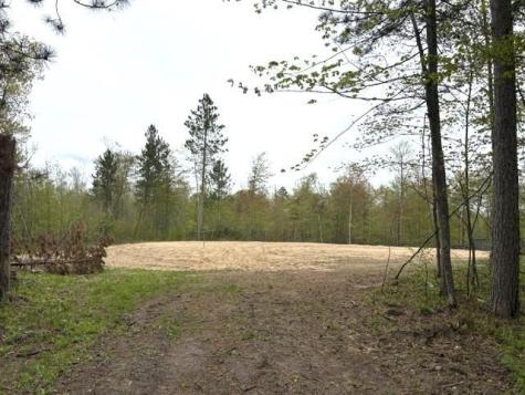 22132 Buckhorn Trail Merrifield MN 56465