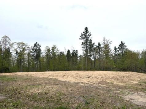 22132 Buckhorn Trail Merrifield MN 56465