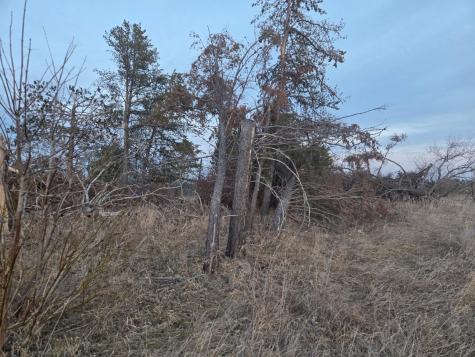 Tbd Lot 5 Beartooth Avenue SW Bemidji MN 56601