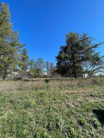 Tbd Lot 5 Beartooth Avenue SW Bemidji MN 56601