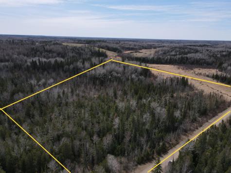 Tbd Co Road 40 Effie MN 56639