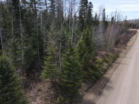 Tbd Co Road 40 Effie MN 56639