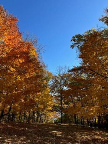 51XX Waterbury Road Mound MN 55364
