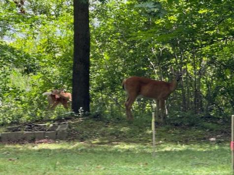 51XX Waterbury Road Mound MN 55364