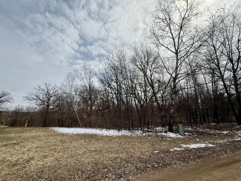 Tbd Basswood Drive Sauk Centre MN 56378