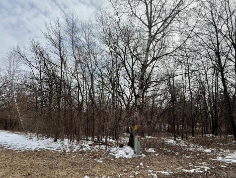 Tbd Basswood Drive Sauk Centre MN 56378