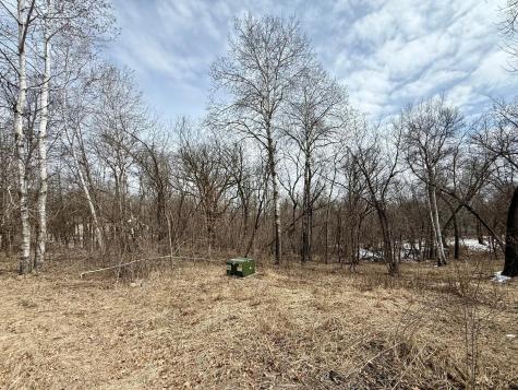 Tbd Basswood Drive Sauk Centre MN 56378