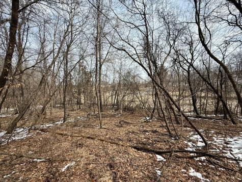 Tbd Basswood Drive Sauk Centre MN 56378