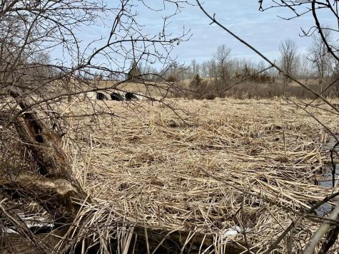 Tbd Basswood Drive Sauk Centre MN 56378