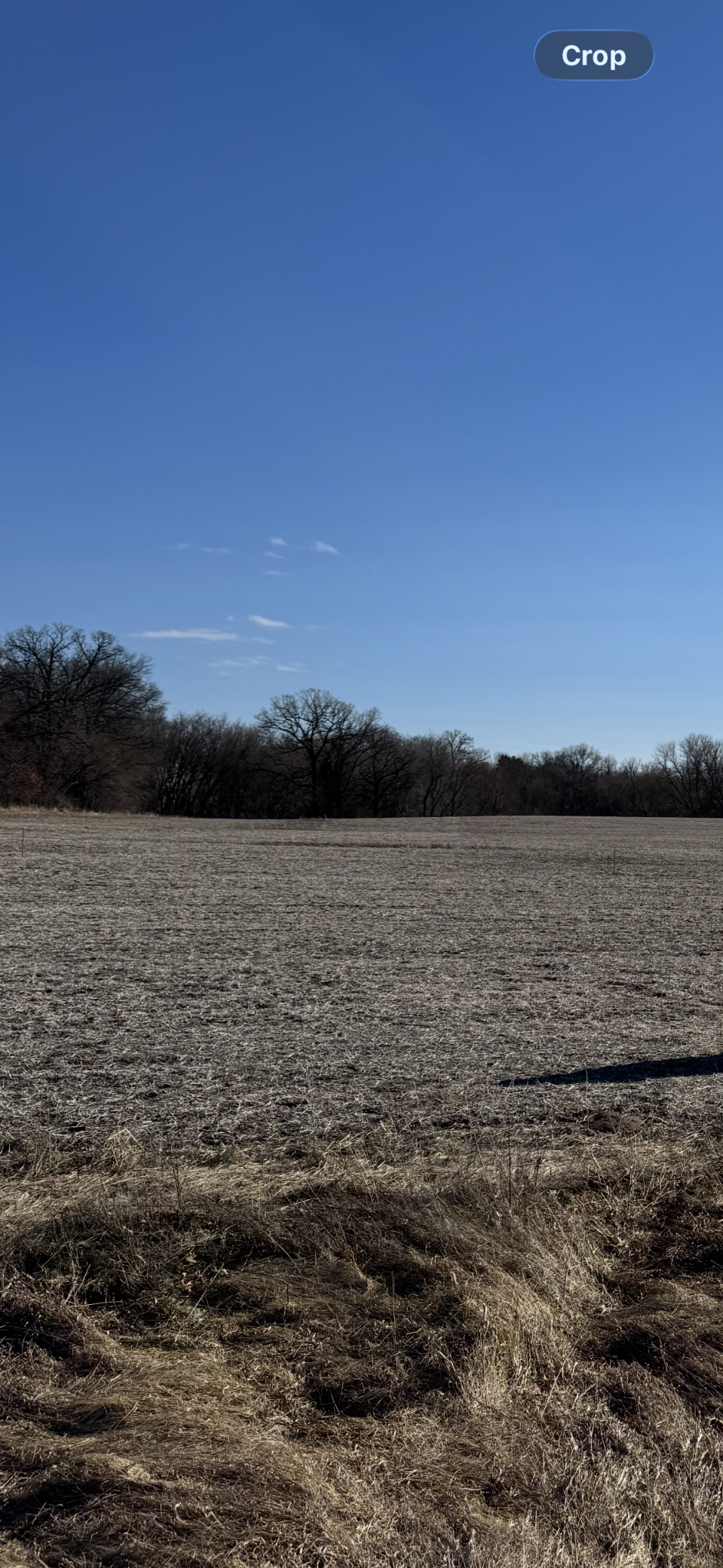 Tbd 210th Lane NW Nowthen MN 55303