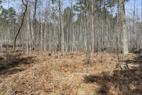 24414 Perrin Point Nisswa MN 56468