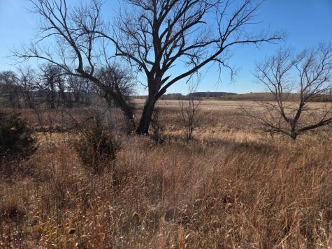 36999 141ST Lane Montgomery MN 56069