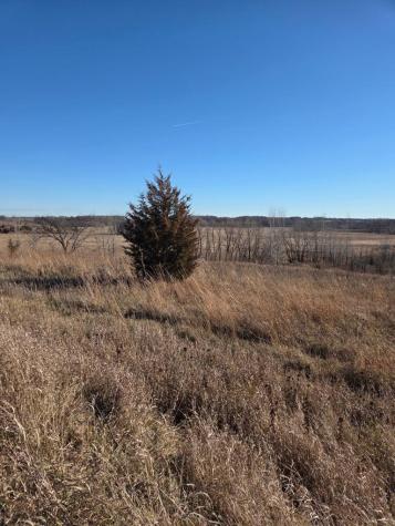 36999 141st Lane Montgomery MN 56069