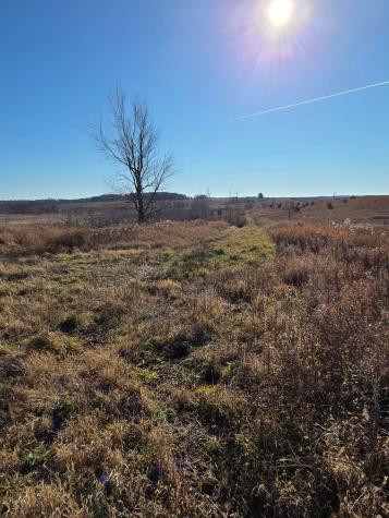 36999 141st Lane Montgomery MN 56069