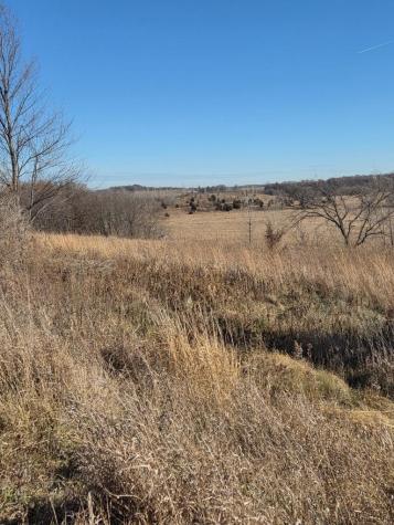 36999 141st Lane Montgomery MN 56069