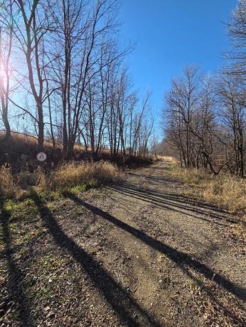 36999 141st Lane Montgomery MN 56069