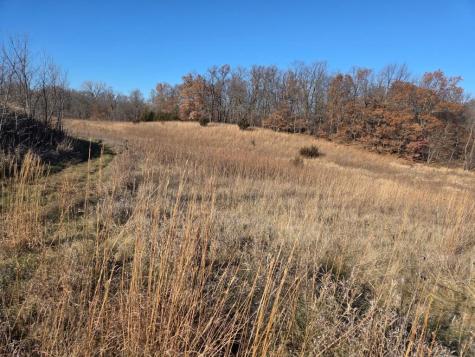 36999 141st Lane Montgomery MN 56069