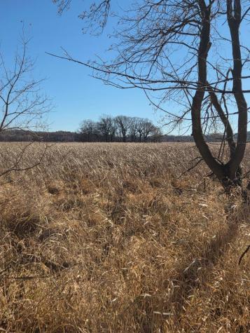 36999 141st Lane Montgomery MN 56069
