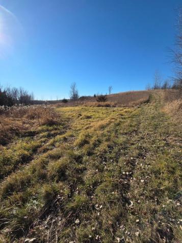 36999 141st Lane Montgomery MN 56069