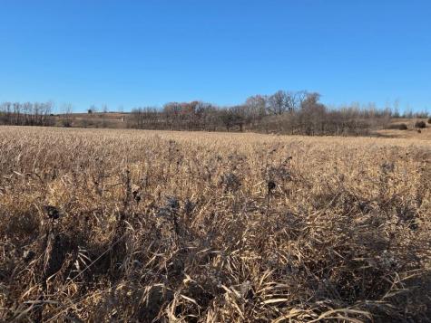 36999 141st Lane Montgomery MN 56069