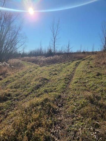 36999 141st Lane Montgomery MN 56069