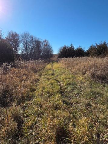 36999 141st Lane Montgomery MN 56069