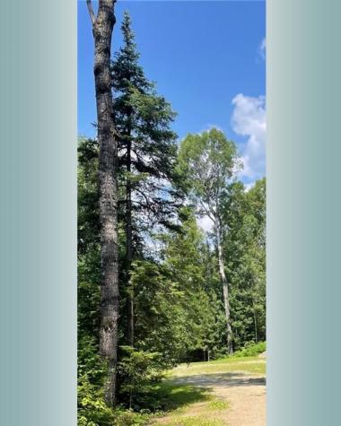 23XX Low Creek Road Ely MN 55731