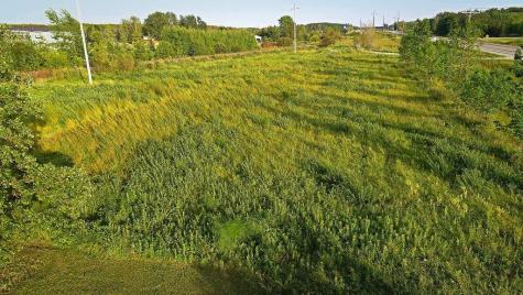 Xxx State Highway 11 Warroad MN 56763