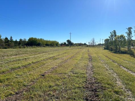 Xxx State Highway 11 Warroad MN 56763