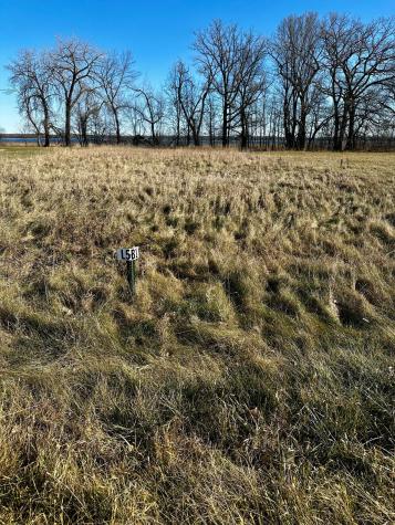 Tbd Hummingbird Way Alexandria MN 56308