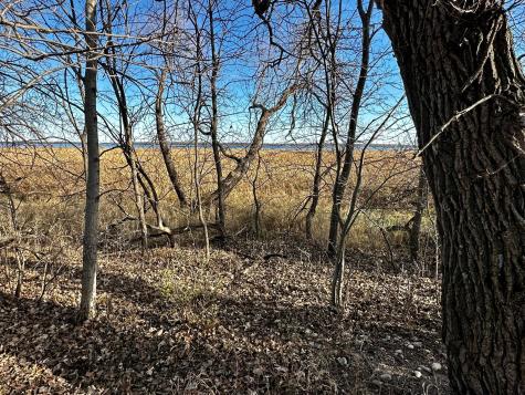 Tbd Hummingbird Way Alexandria MN 56308