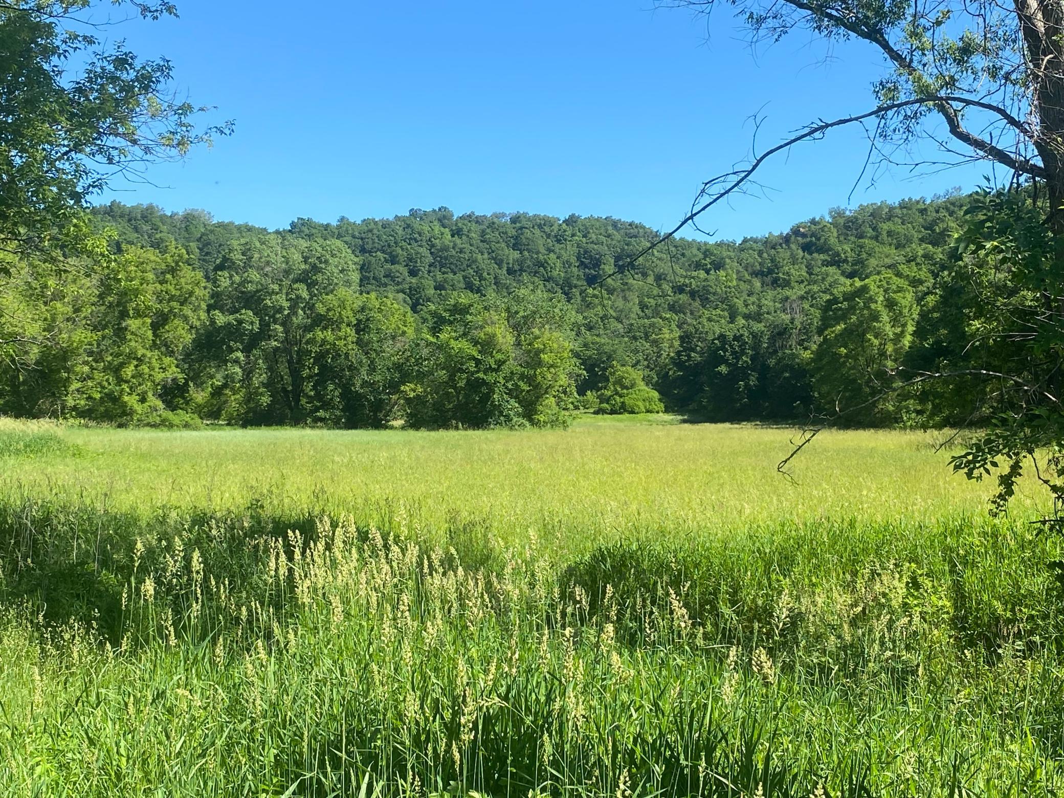 27333 Deep River Road Lanesboro MN 55949