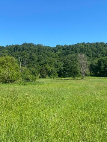 27333 Deep River Road Lanesboro MN 55949