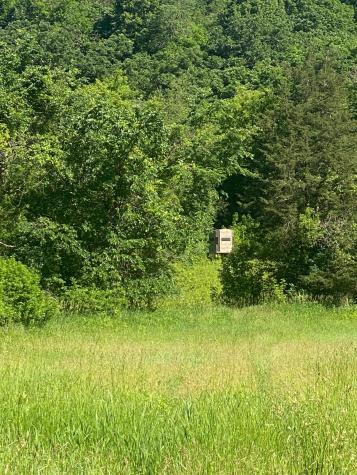 27333 Deep River Road Lanesboro MN 55949