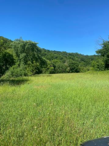 27333 Deep River Road Lanesboro MN 55949
