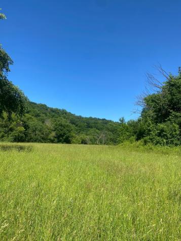 27333 Deep River Road Lanesboro MN 55949