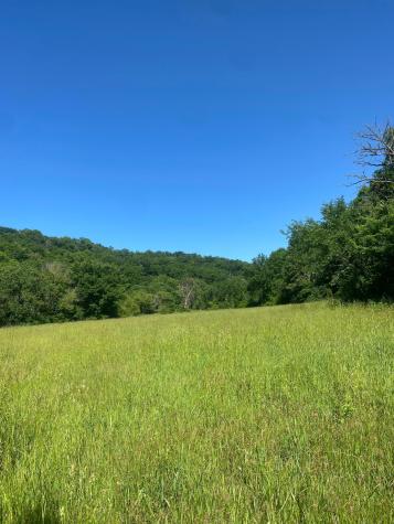 27333 Deep River Road Lanesboro MN 55949
