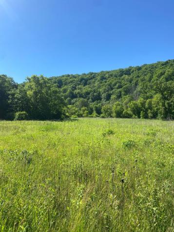 27333 Deep River Road Lanesboro MN 55949