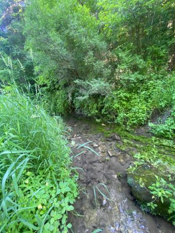 27333 Deep River Road Lanesboro MN 55949
