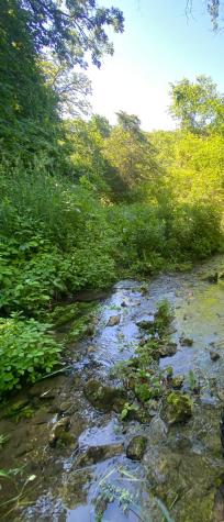 27333 Deep River Road Lanesboro MN 55949