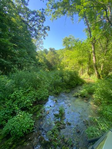 27333 Deep River Road Lanesboro MN 55949
