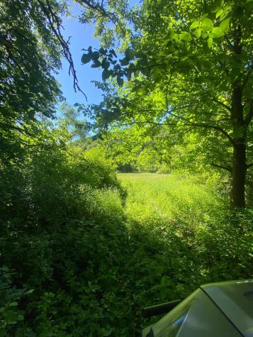 27333 Deep River Road Lanesboro MN 55949