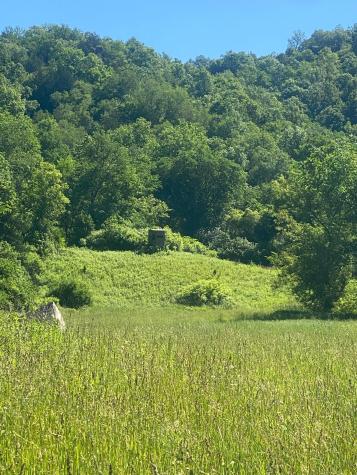 27333 Deep River Road Lanesboro MN 55949